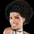 Adult Size Team Spirit Wig (Black)